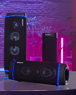 Wireless speakers category picture